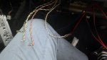 Plant Twig Wood Jewellery Denim